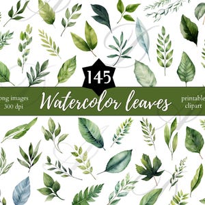 145 set di clipart digitali botaniche di foglie acquerellate, bundle di adesivi di foglie botaniche in formato Png, clipart di vegetazione, biglietto di nozze stampabile, invito