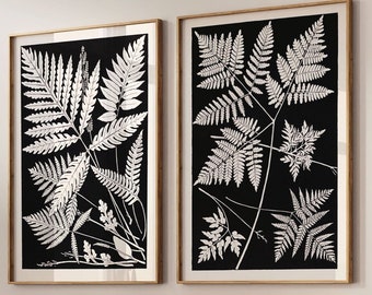 Conjunto de 2 gravuras botânicas, estampa vintage, folhas de samambaia, pôster botânico, conjunto de 2, decoração de parede, ilustração botânica, ideia para presente