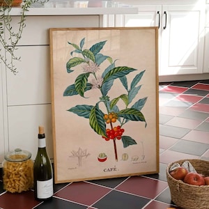 Pôster de planta de café com impressão vintage, pôster decorativo de cozinha botânica, decoração de parede de café, decoração de parede de casa de campo, ideia de presente para amantes de café