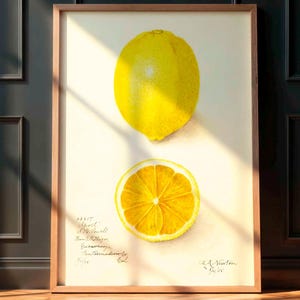 Vintage citroenposter, botanische illustratie, keuken, keukendecoratie, wanddecoratie, citrusvruchten, keukenposter, cottagecore wanddecoratie