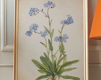 Vintage Print Forget-Me-Not Flower Ornamental Plant Botany Poster Botanical Floral Illustration Forget-Me-Not Wall Decor