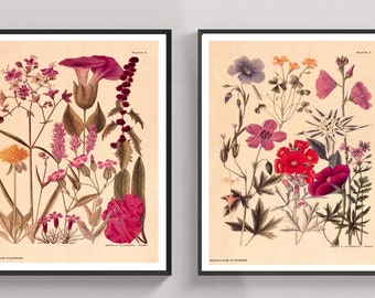 Vintage Print Set of 2 Wild Flowers Poster Wall Decoration Wall Decoration Floral Illustration Wall Decoration Art Print Gift Idea