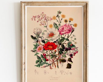 Vintage Print blühender Blumenstrauß wilde Rosen Beeren florale Illustration Poster Blumen florale Wanddekoration Geschenkidee