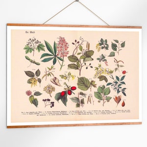 Wald Vintage Poster Waldblätter Print botanische Illustration Kunstdruck Reproduktion Wanddekoration Wandschmuck Wald Blätter Geschenkidee