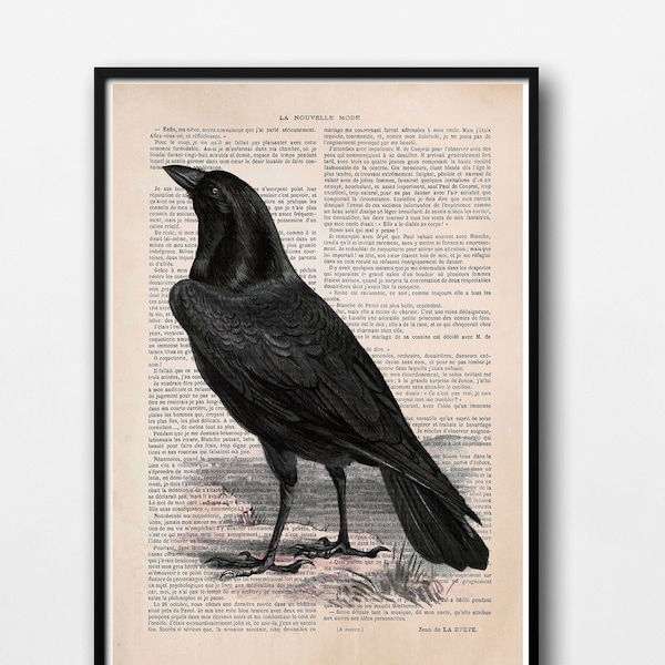 Vintage Poster Rabe auf antiquarischer Zeitung schwarzer Rabe Krähe Print Gothic Art Vintage Illustration Vogel Wanddekoration Wandschmuck