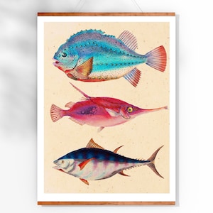 Vintage Print tropical fish poster bathroom gift idea wall decoration wall decoration fish maritime illustration