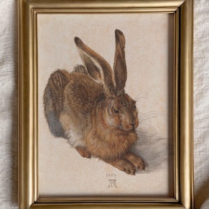 Junger Hase Poster von Albrecht Dürer Vintage Druck Fine Art Print Art Deko Wanddekoration Wandschmuck antike Illustration Geschenkidee