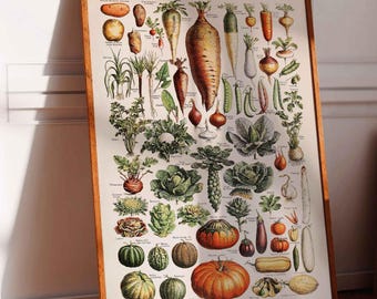 Vintage Poster Vegetables Adolphe Millot Legumes Print botanical illustration various vegetables kitchen poster wall decoration