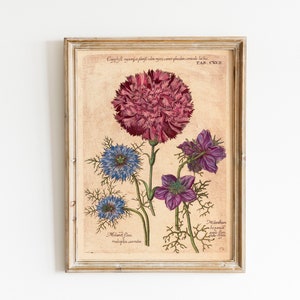 Antik blumen print | Poster