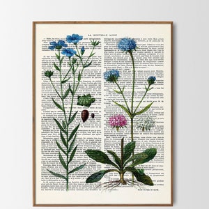 Vintage Poster Plants on antique book page Print floral illustration meadow flowers wall art wall decoration flowers wall decoration