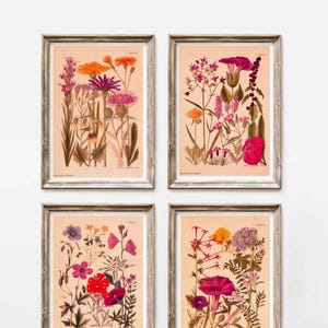 Vintage Print wild flowers plants set of 4 posters botany floral illustration meadow flowers botanical wall decoration wall decoration wall art
