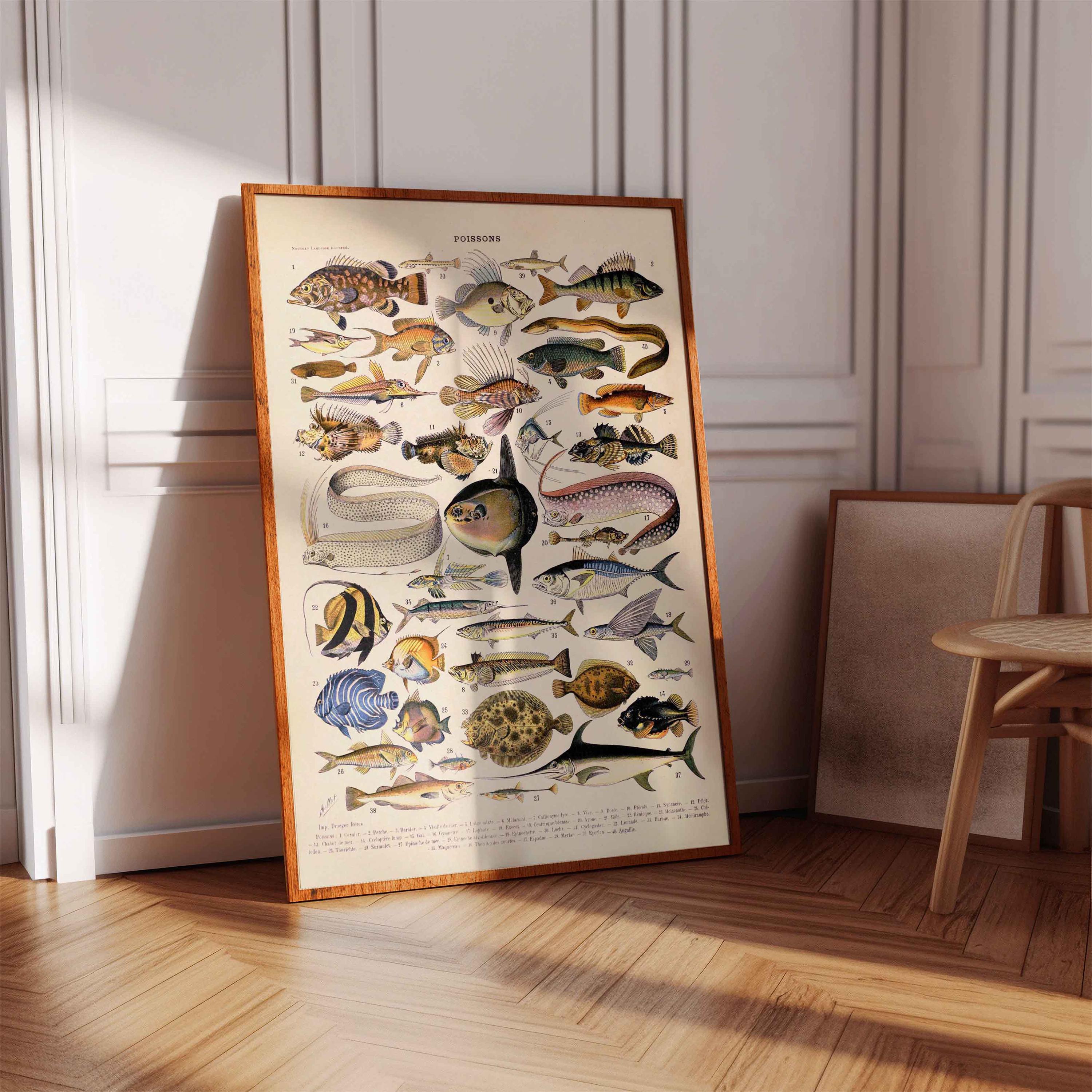 ヴィンテージプリントの魚のポスター壁飾り フランスのヴィンテージ 