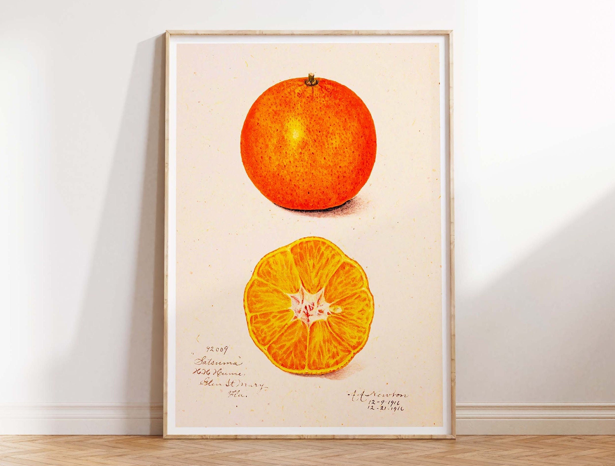 Oranges poster