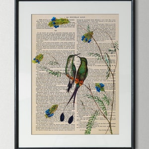 Stampa vintage colibrì poster uccelli colibrì innamorati sulla pagina del libro antiquario illustrazione decorazione murale decorazione murale idea regalo