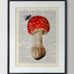 Impressão vintage agaric mosca com cogumelo mosca cartaz arte impressão página de livro antigo ilustração colagem decoração de parede ideia de presente