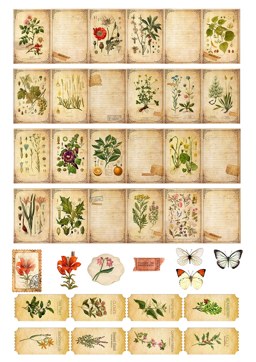 Mini Book Herbs Junk journal Herbs Herb lore ephemera Etsy