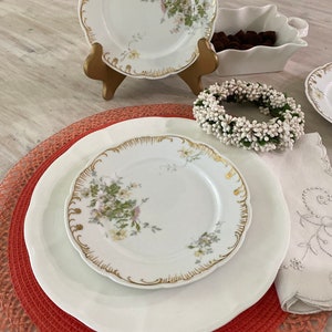 Vintage Limoges LS&S Carlsbad Porcelain Plates/Floral/Replacement