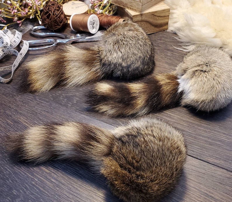 Handmade Catnip Cat Toy: Rabbit Fur Ball with Raccoon Tail bild 7