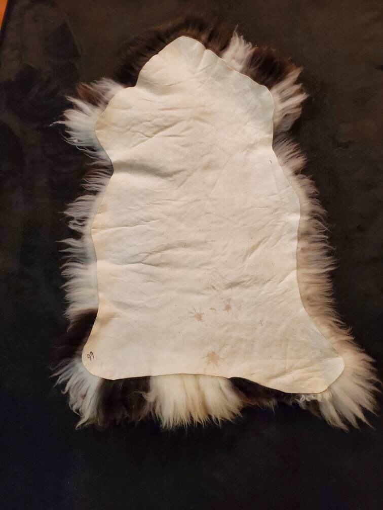 Beautiful Icelandic Sheepskin. Sourced From Iceland. Medium Etsy