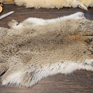 Beautiful natural color Rabbit fur, skin, hide, very soft, all natural, organic, DIY, craft supplies, leather, fur, sewing, pet bed, cat bed