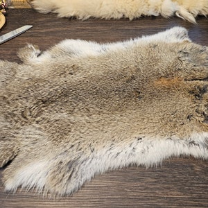 Beautiful natural color Rabbit fur Pelt, All natural, organic, DIY, craft supplies, leather, fur, sewing. Free shipping.