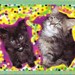Due gattini simpatico gattino divertente gatto colorato astratto biglietto di auguri vuoto colorato foto art