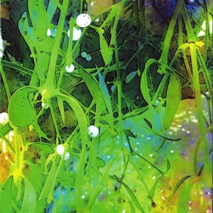 vischio astratto colorato biglietto di auguri vuoto foto colorata arte