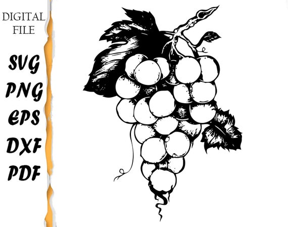 Bunch Vine Grapes Stencil Model Design Print Clip Art Logo | Etsy