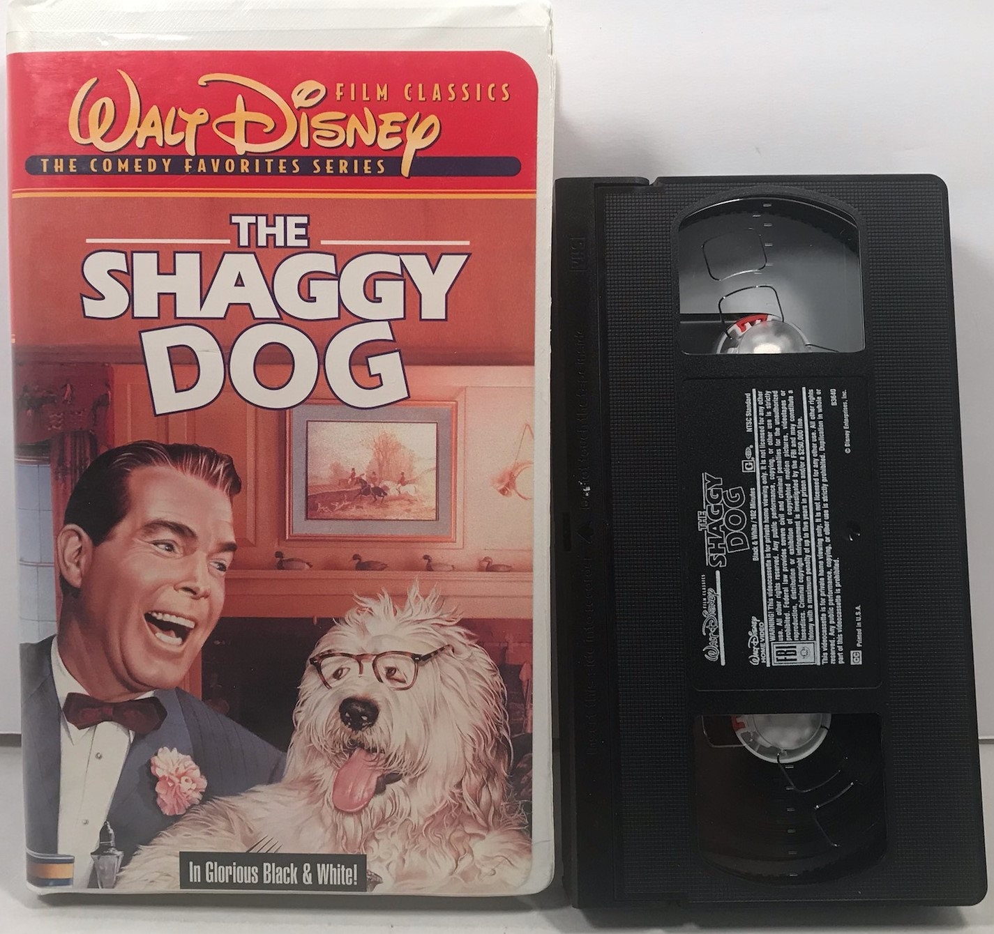 shaggy dog movie