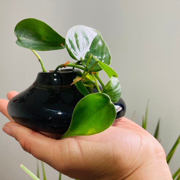 Elegant Black Blown Glass Vase, MEXICAN vase-Mexican art