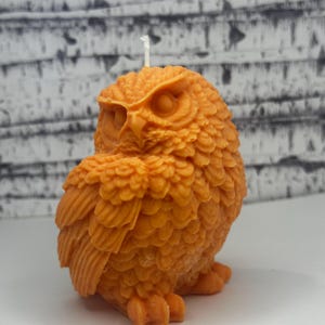 May include: An orange owl-shaped candle with a white wick. The candle is detailed with feathers and has a realistic owl design.