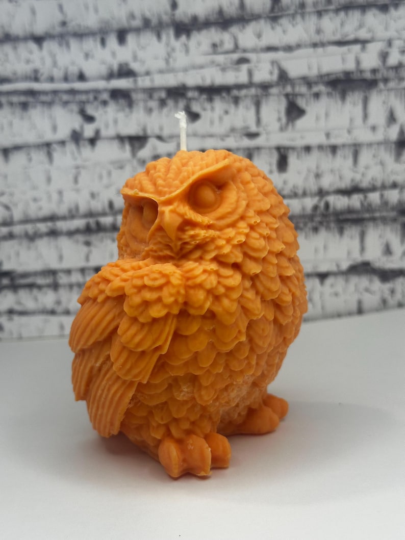 May include: An orange owl-shaped candle with a white wick. The candle is detailed with feathers and has a realistic owl design.
