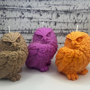 May include: Three owl-shaped candles in brown, purple, and orange. The candles are detailed with feathers and have a realistic owl design.