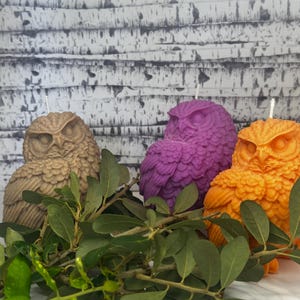 May include: Three owl-shaped candles, one brown, one purple, and one orange, are arranged on a bed of green leaves. The candles are detailed with feathers and have a realistic owl design.