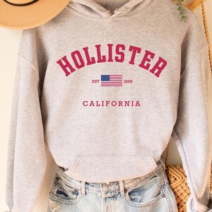 May include: Gray hooded sweatshirt with the text "Hollister" in red, a small American flag, and the text "California" below. The sweatshirt is hanging on a wooden hanger.