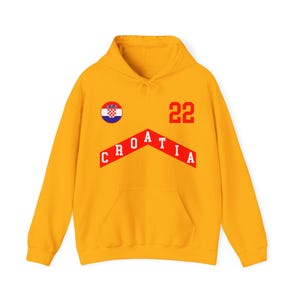 Croatia Hoodie, Croatia shirt, Croatia capital, Croatia 2024 Tee, Croatia Soccer Jersey, Croatia navijaci, world cup jersey image 2