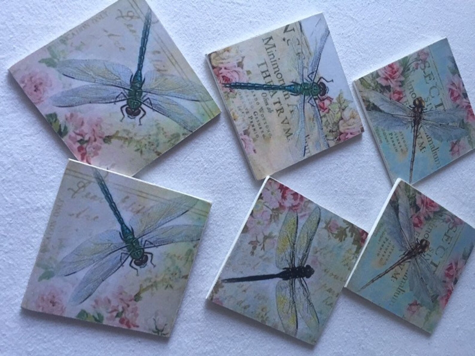 Dragonfly Coaster Dragonfly Paper Print Housewarming Gift Damselfly