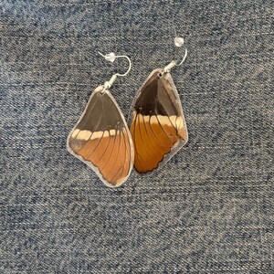 Butterfly Wing Earrings
