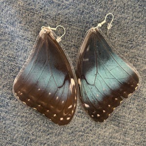 Butterfly Wing Earrings