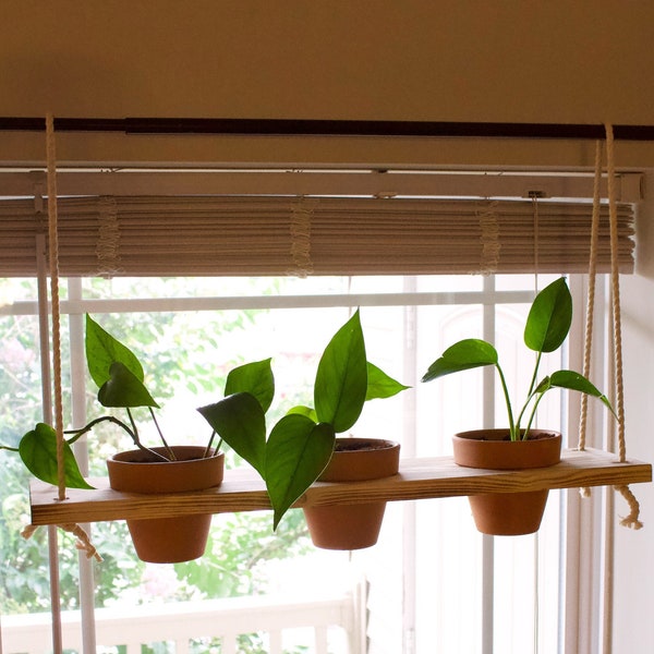 Window Plant Holder Etsy