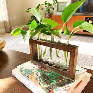 Propagation Station Plant Propagation Tubes Included Indoor Plant Stand Boho Plant Holder image 2