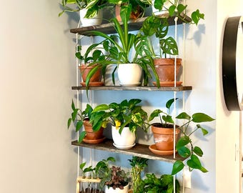 4 Tier Hanging Plant Shelf | Indoor Plant Wall Shelf | Rope Hanging Planter