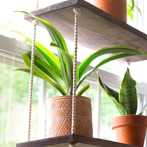 May include: Two wooden shelves hanging from the ceiling with rope, each holding a potted plant. The top shelf has a green plant in a terracotta pot, and the bottom shelf has a green plant in a patterned terracotta pot.