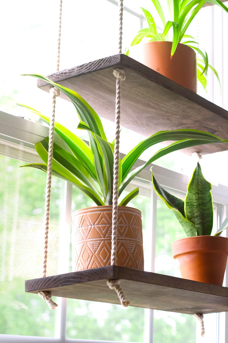 May include: Two wooden shelves hanging from the ceiling with rope, each holding a potted plant. The top shelf has a green plant in a terracotta pot, and the bottom shelf has a green plant in a patterned terracotta pot.