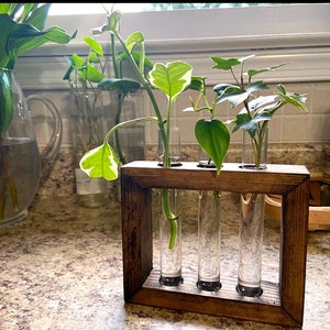Propagation Station Plant Propagation Tubes Included Indoor Plant Stand Boho Plant Holder image 8