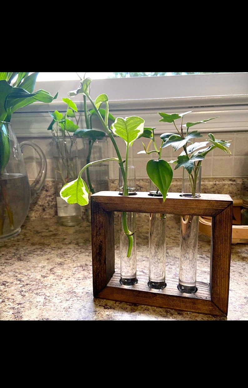 Propagation Station Plant Propagation Tubes Included Indoor Plant Stand Boho Plant Holder image 8