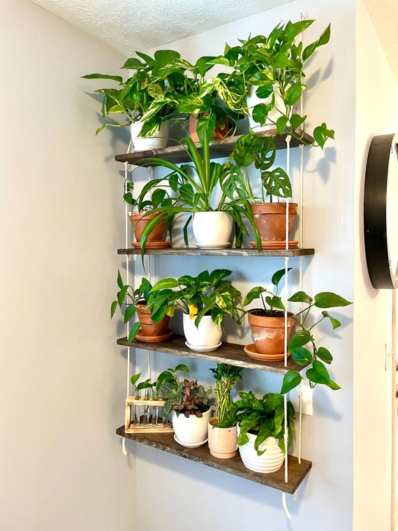 4-Tier-Hängeregal | Zimmerpflanzen-Wandregal | Blumenampel