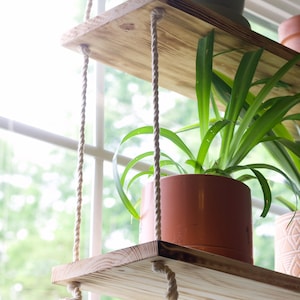 May include: Two wooden shelves suspended from the ceiling with rope. The shelves are holding potted plants. The top shelf has a white pot with a green plant and the bottom shelf has a terracotta pot with a green plant.