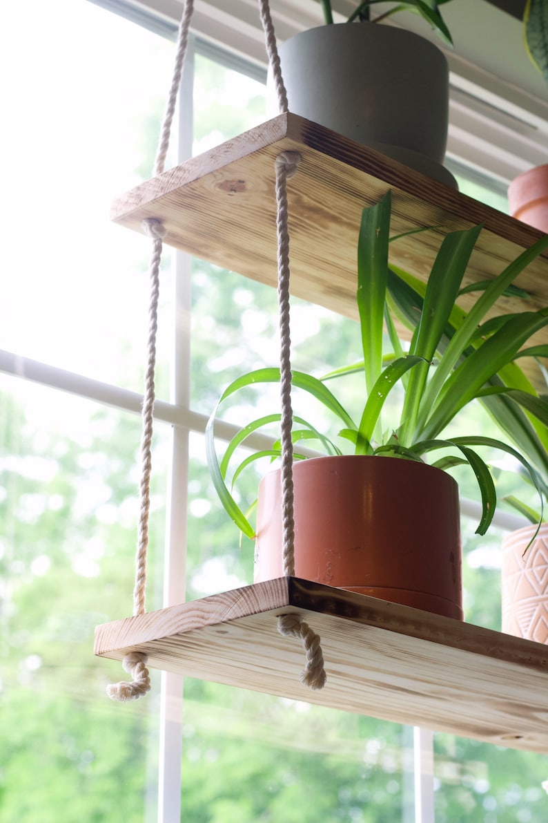 May include: Two wooden shelves suspended from the ceiling with rope. The shelves are holding potted plants. The top shelf has a white pot with a green plant and the bottom shelf has a terracotta pot with a green plant.