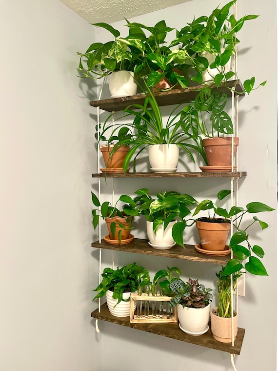 4-Tier-Hängeregal | Zimmerpflanzen-Wandregal | Blumenampel